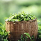 Mevlana Te Mevlana Ceylon Te GORAN Tea 1kg (1000gr) thumbnail