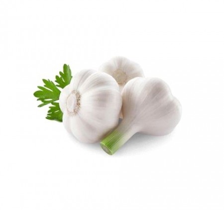 Italia hvitløk