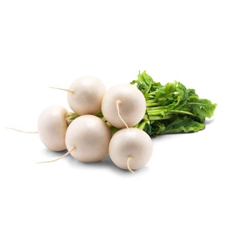 Italia Neper Bunt