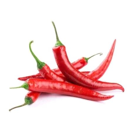 Italia Chilli Pepper 